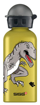 Sigg Trinkflasche