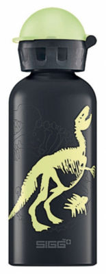 Sigg Trinkflasche