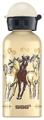 Sigg Trinkflasche