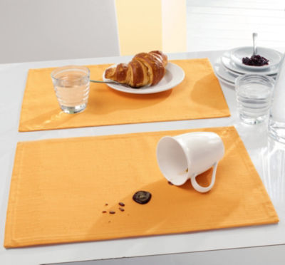 Erwin M�ller Tischset im 2er-Pack