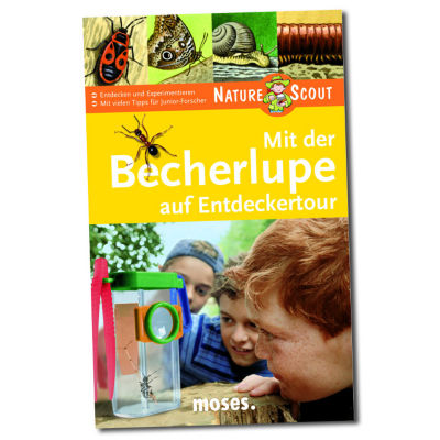 Buch: 